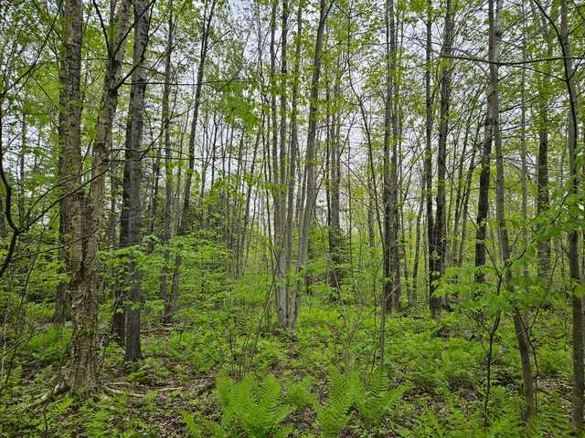 $37,500 | 681 Mile Hill Road, New Sharon, ME 04955