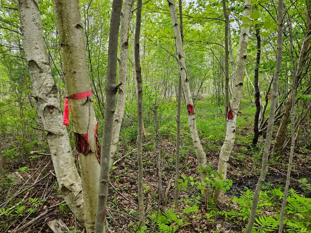 $37,500 | 681 Mile Hill Road, New Sharon, ME 04955