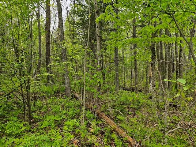 $37,500 | 681 Mile Hill Road, New Sharon, ME 04955