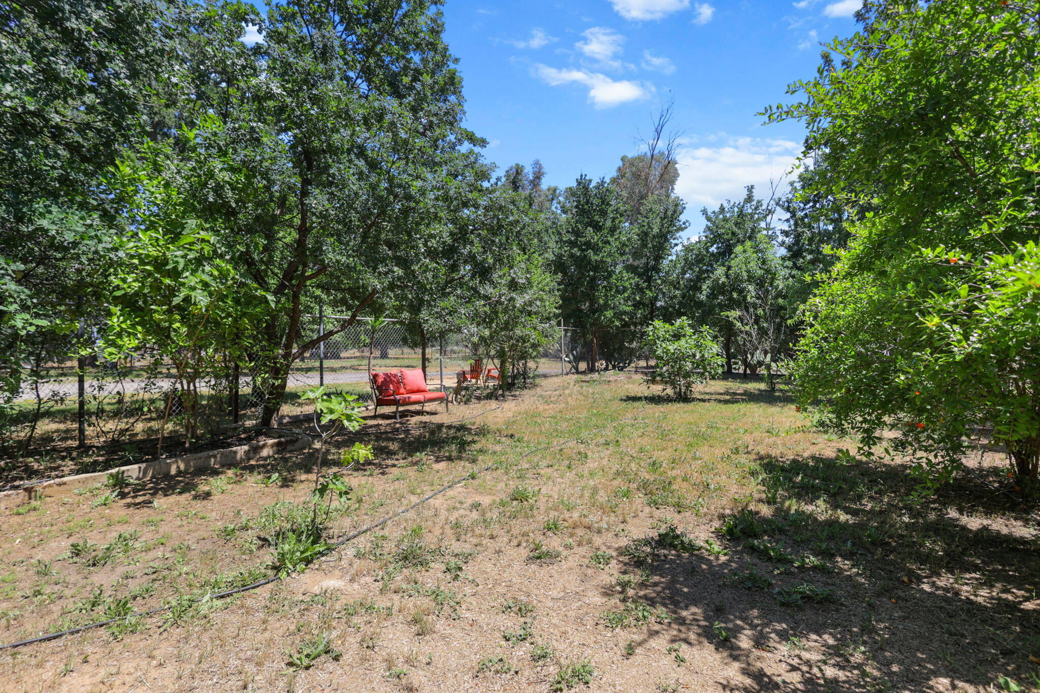 12481 Paskenta Road Red Bluff, CA 96080 - Photo 60 of 82 28-web-or-mls-8Q0A0319