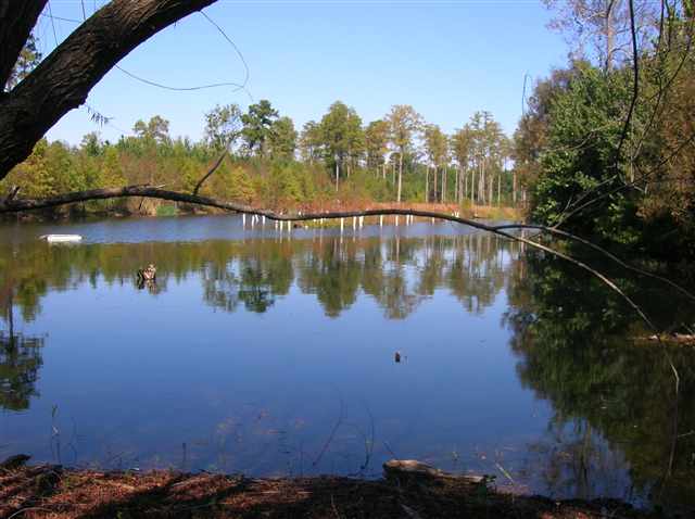 10415 Hardwick Road Nichols, SC 29581 - Photo 15 of 15 Gallery Image 15