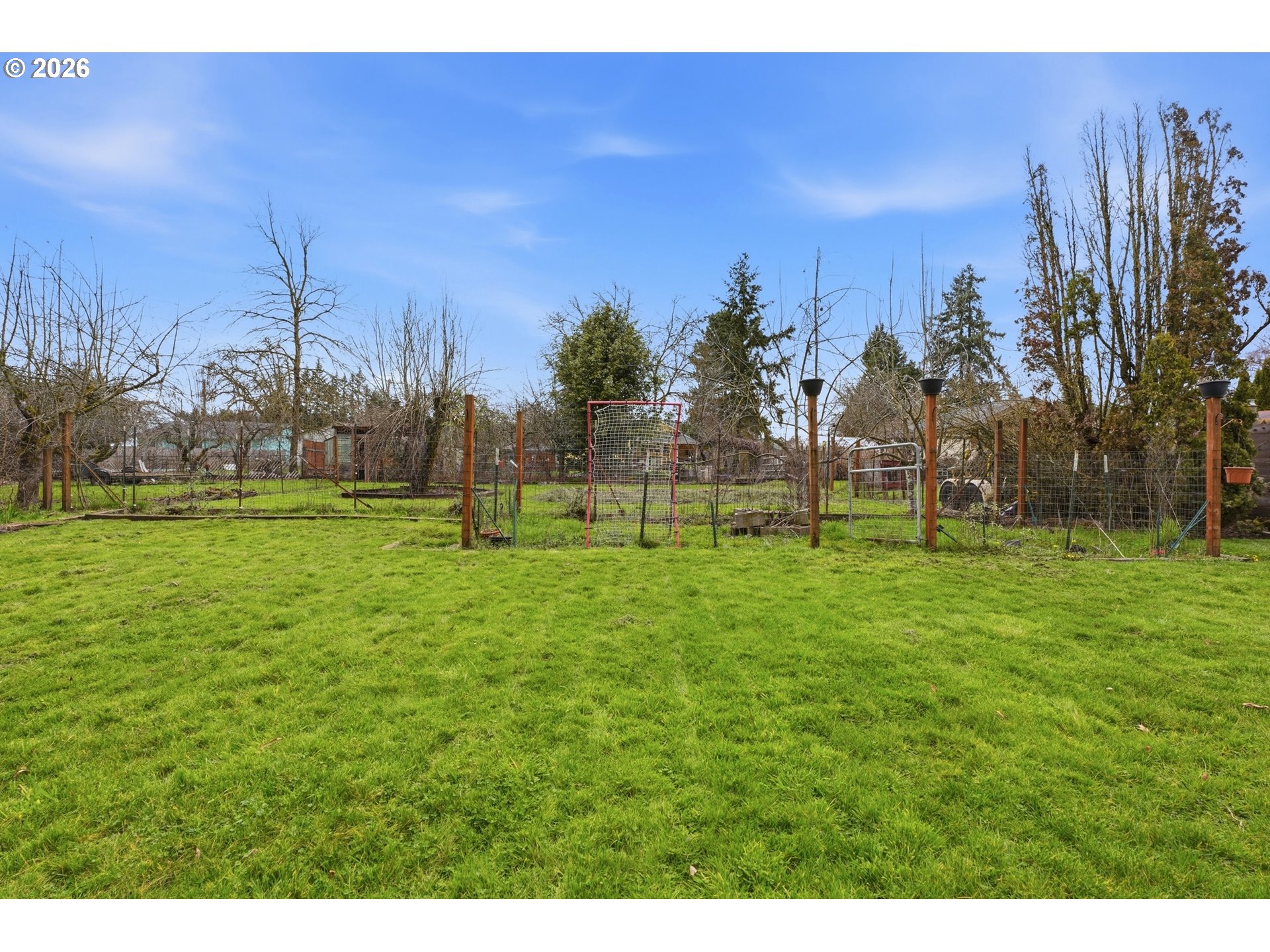 224 6th Street Dayton, OR 97114 - Photo 28 of 37 a view of a park with large trees