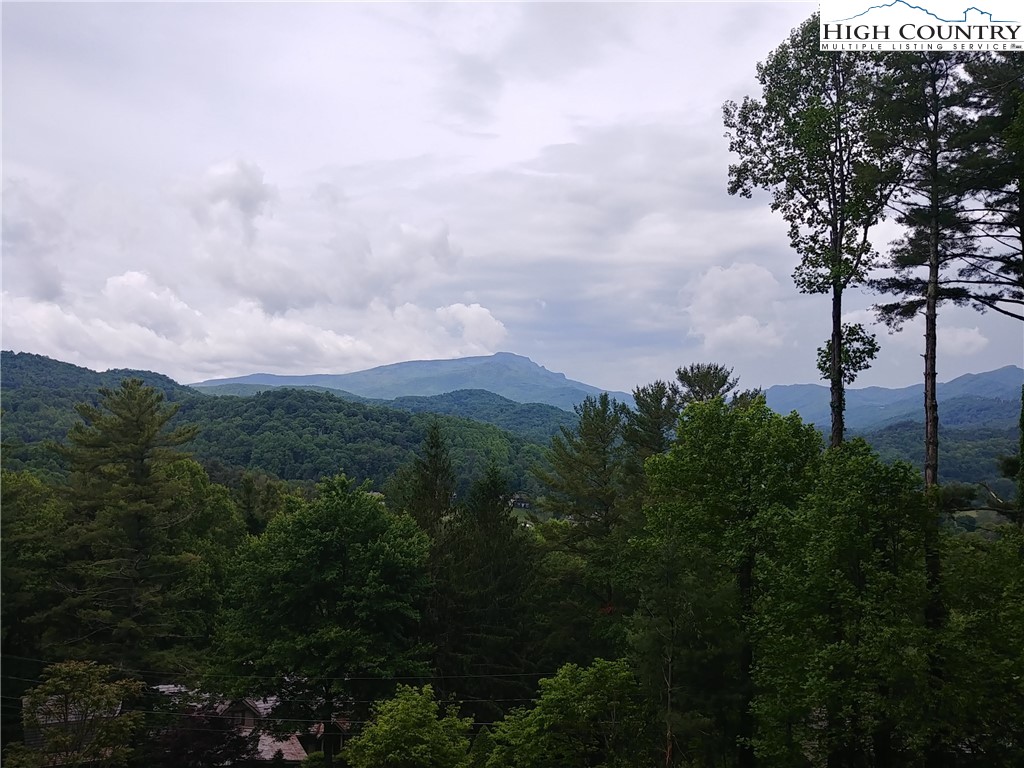 100 Elm Lane Boone, NC 28607 - Photo 14 of 21 Gallery Image 14
