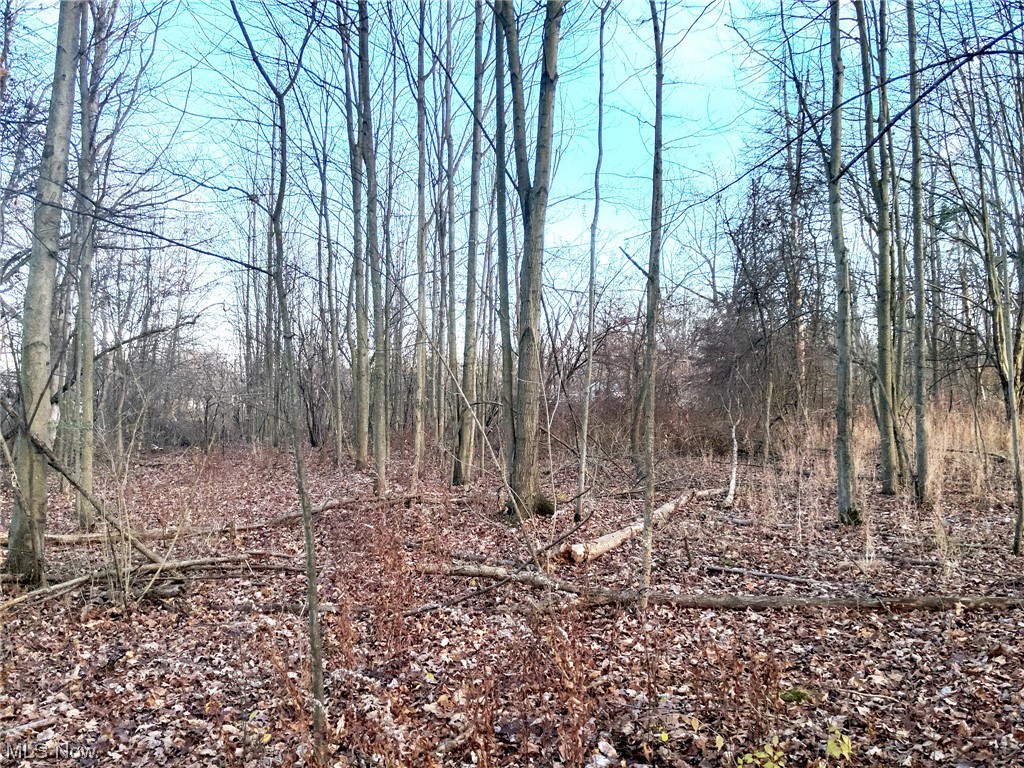 0 South Meridian Road Youngstown, OH 44515 - Photo 21 of 24 View of mother earth's splendor