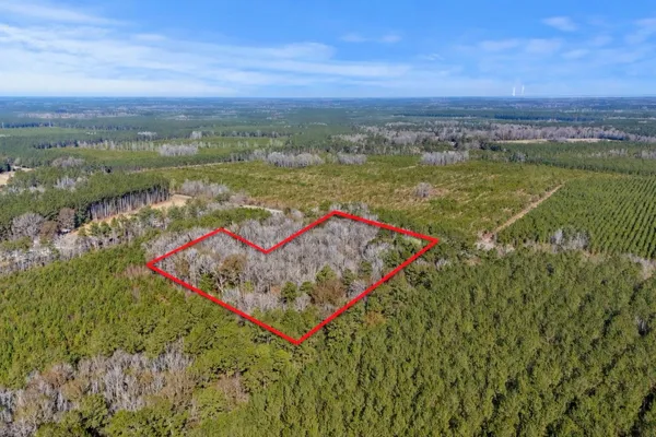 $575,000 | 123 State Road, Ridgeville, SC 29472
