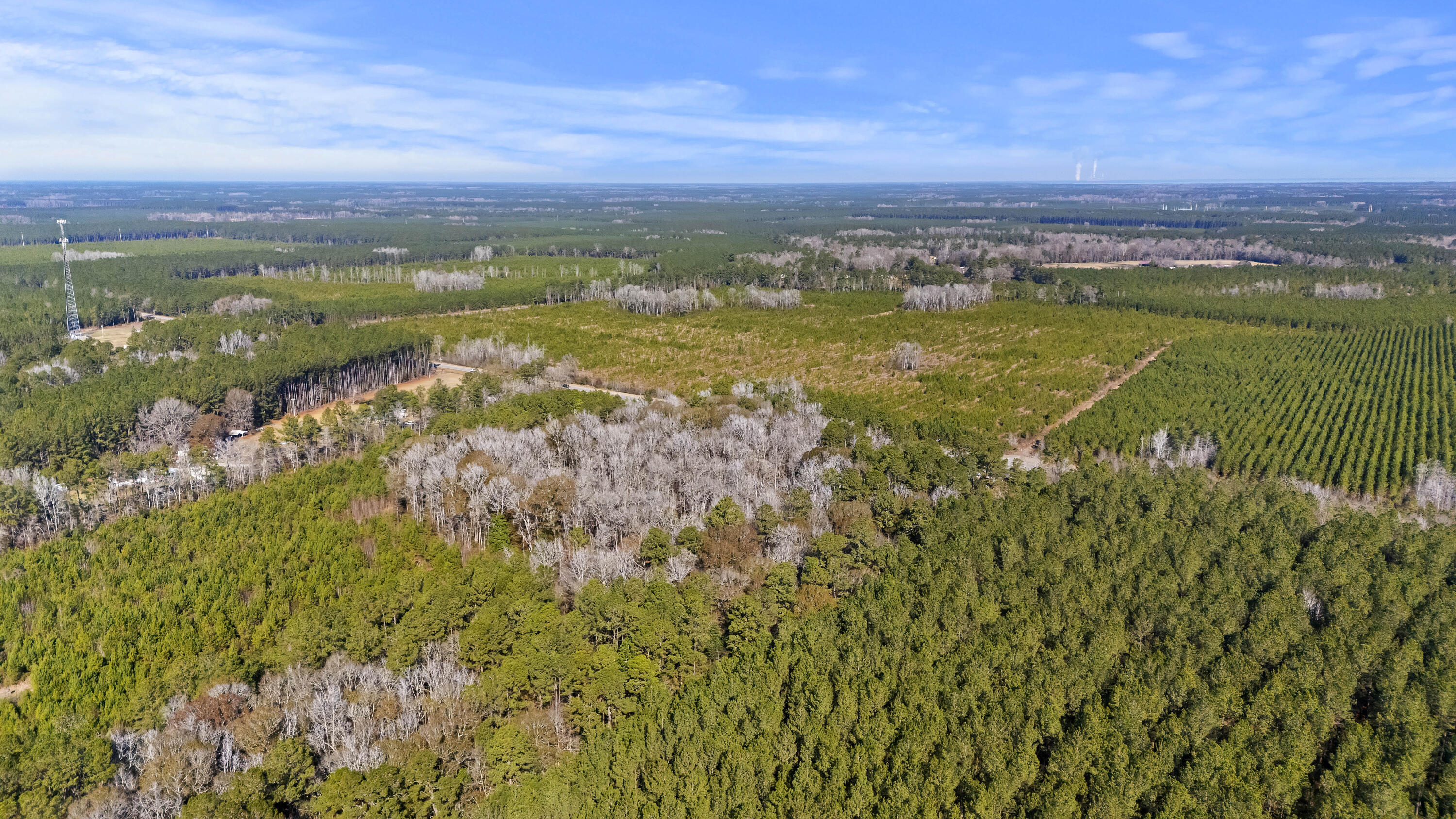 123 State Road Ridgeville, SC 29472 - Photo 7 of 13 From Behind