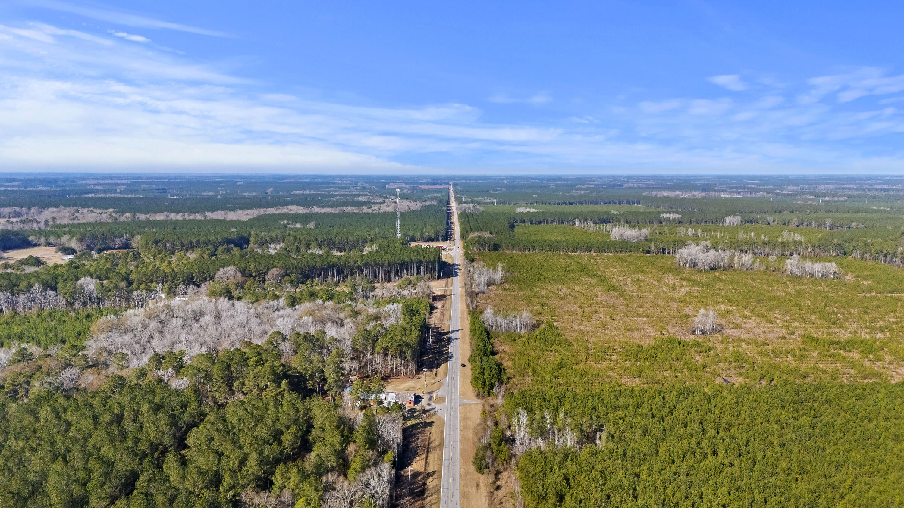 123 State Road Ridgeville, SC 29472 - Photo 9 of 13 Looking Down State Rd.