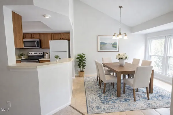 a dining room with furniture a rug a potted plant and a chandelier