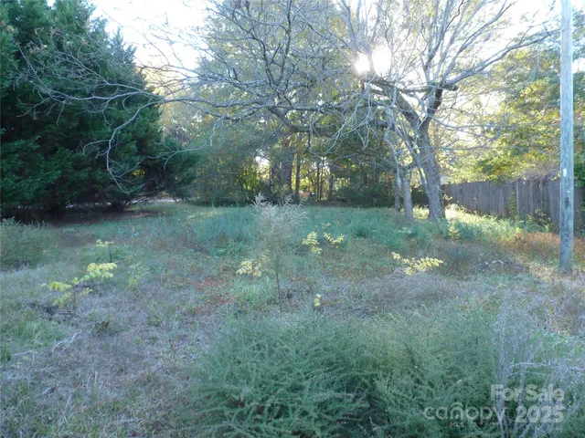a view of a yard with a tree