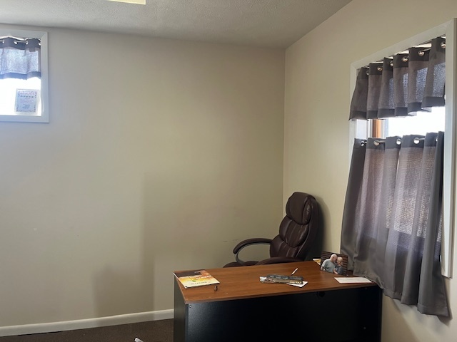 902 Western Avenue Henry, IL 61537 - Photo 6 of 29