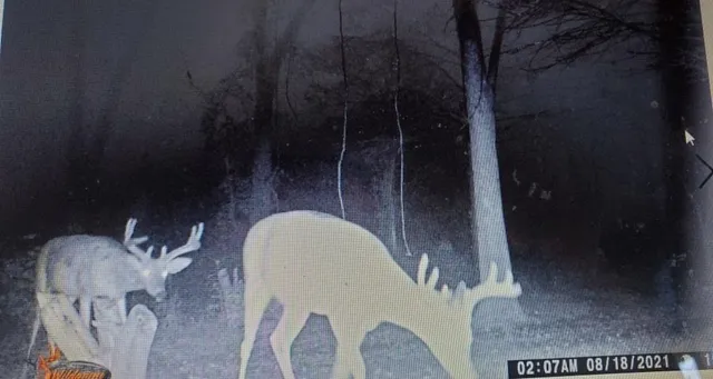 $499,900 | W10763 Cross Road, New London, WI 54961