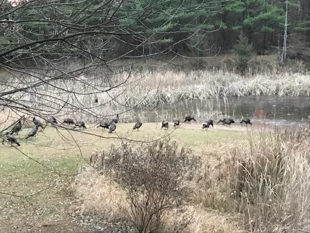 $499,900 | W10763 Cross Road, New London, WI 54961