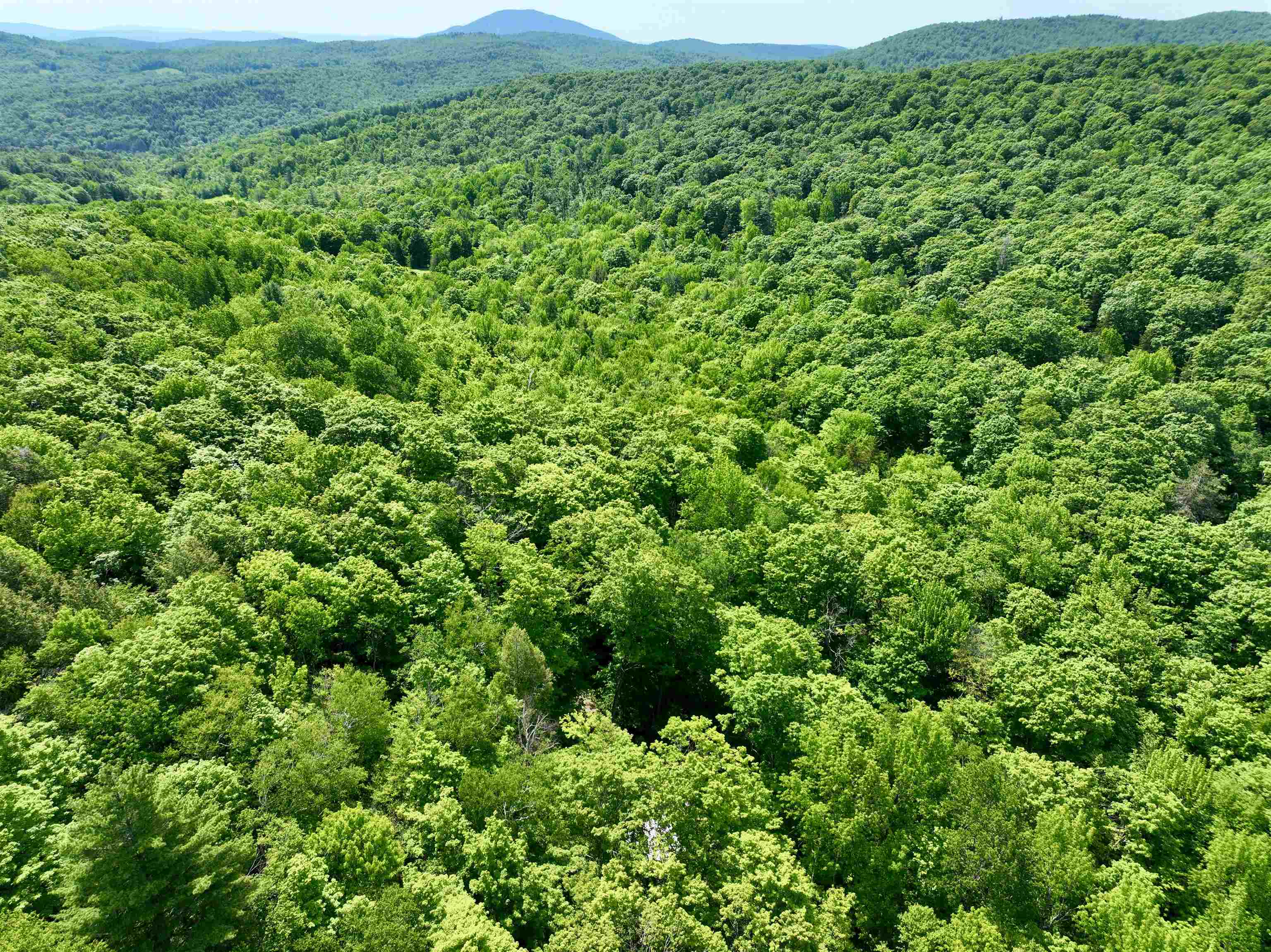 1190 Long Hill Road Woodstock, VT 05071 - Photo 7 of 12