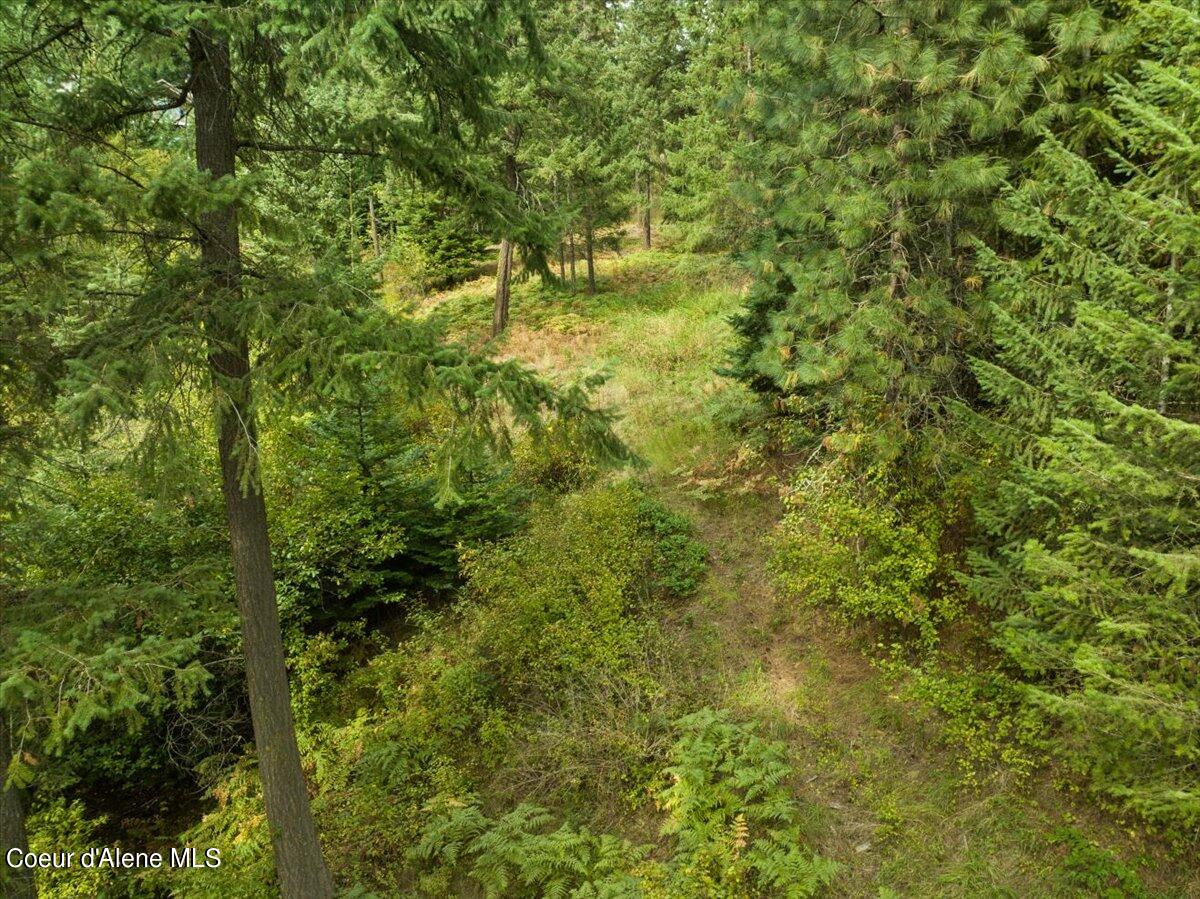 8775 West Rockford Bay Road Coeur D'Alene, ID 83814 - Photo 12 of 23 12-redhogmedia