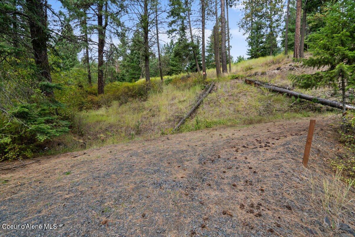 8775 West Rockford Bay Road Coeur D'Alene, ID 83814 - Photo 15 of 23 15-redhogmedia