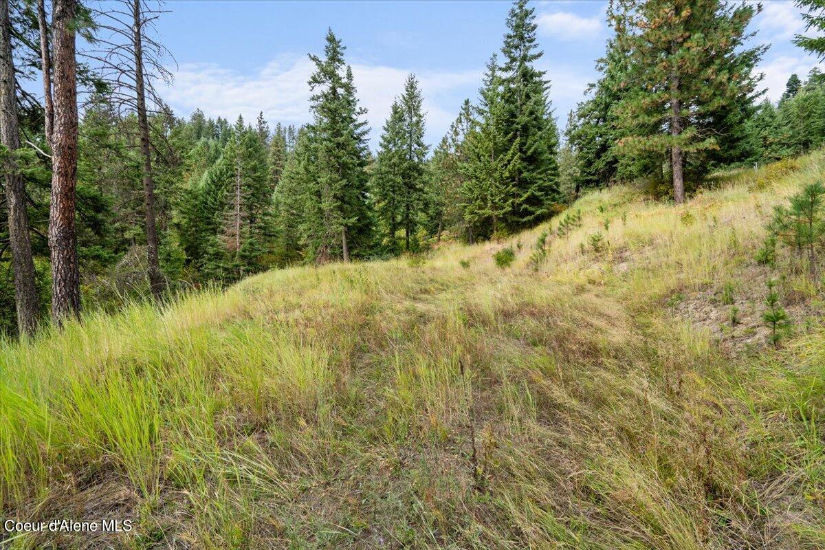 8775 West Rockford Bay Road Coeur D'Alene, ID 83814 - Photo 18 of 23 18-redhogmedia