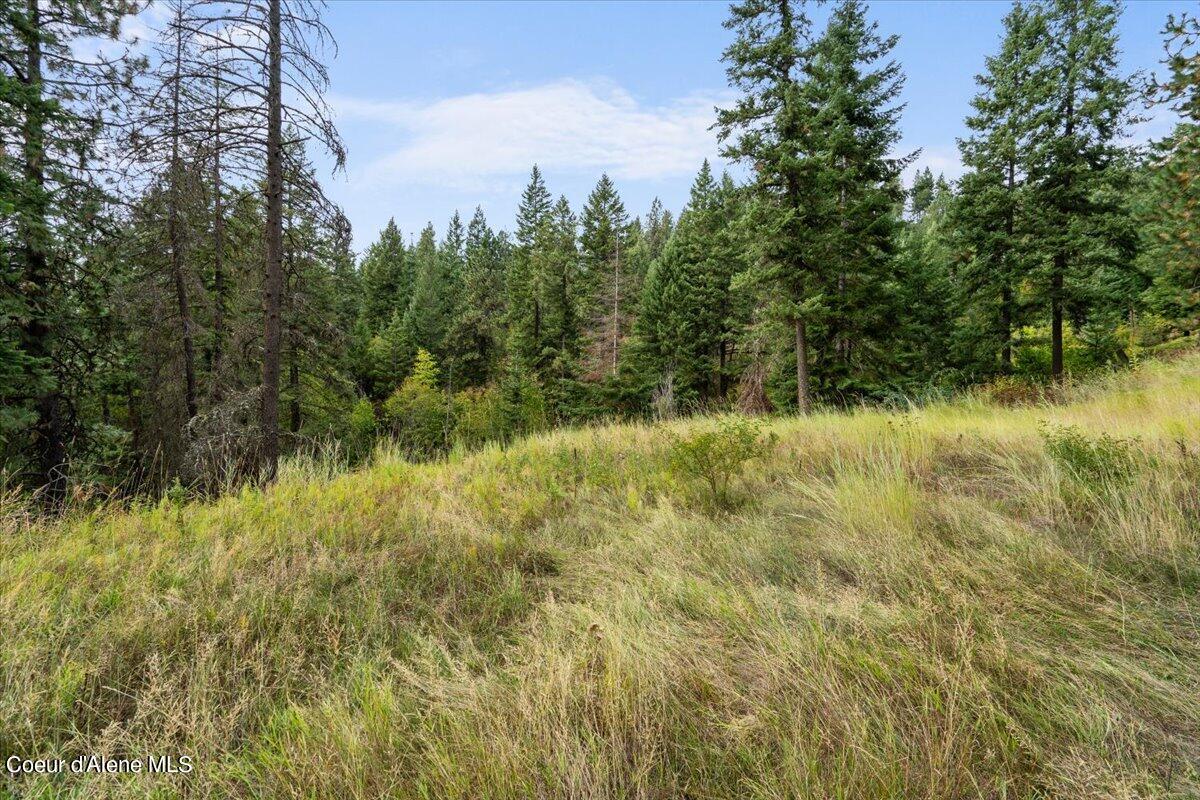 8775 West Rockford Bay Road Coeur D'Alene, ID 83814 - Photo 20 of 23 20-redhogmedia