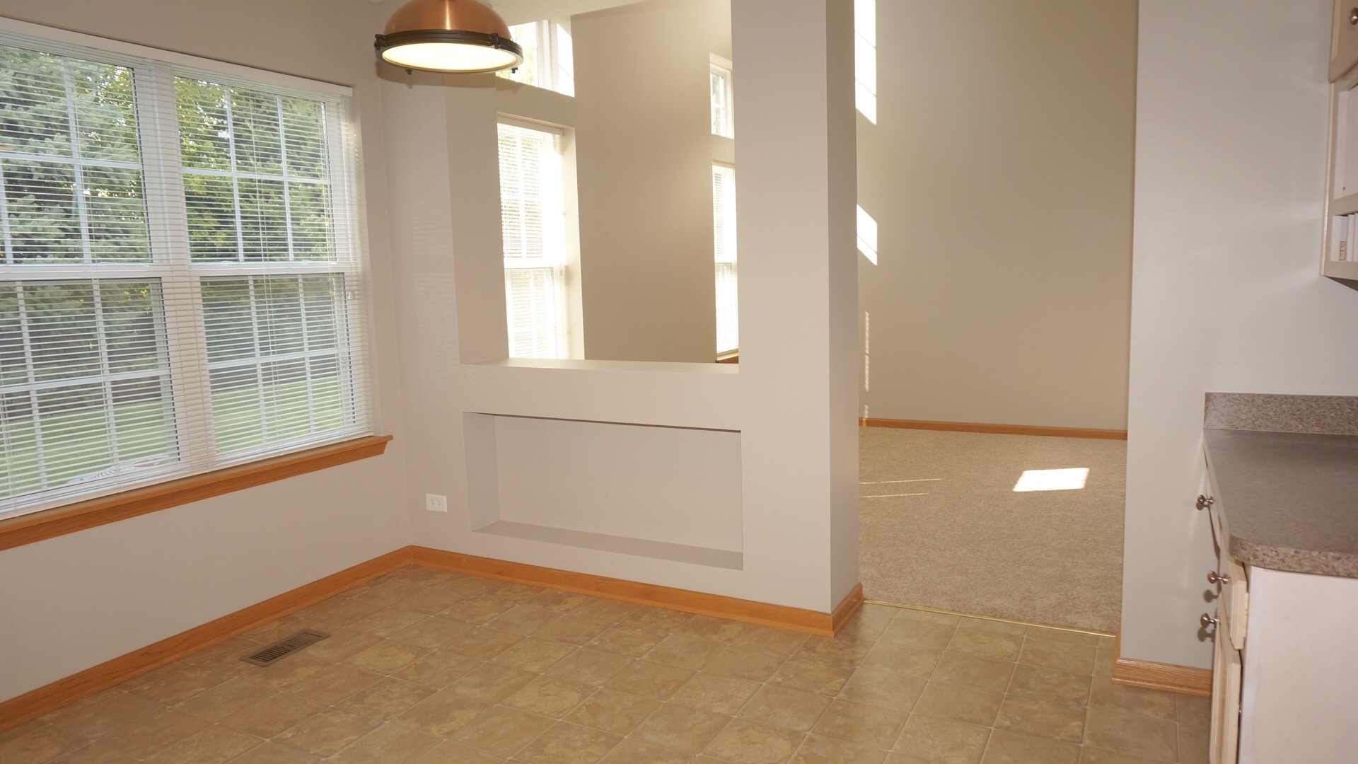 9575 Rainsford Drive, Unit 1 Huntley, IL 60142 - Photo 12 of 26