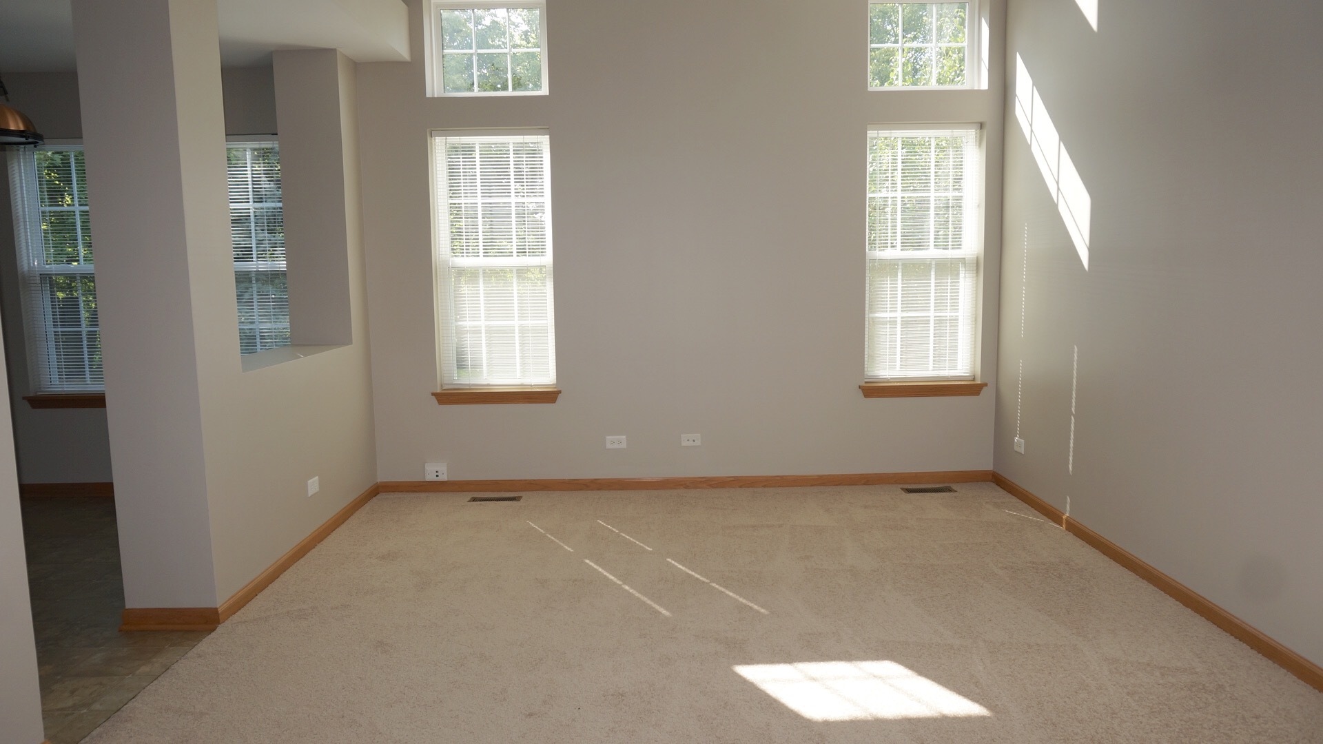 9575 Rainsford Drive, Unit 1 Huntley, IL 60142 - Photo 16 of 26