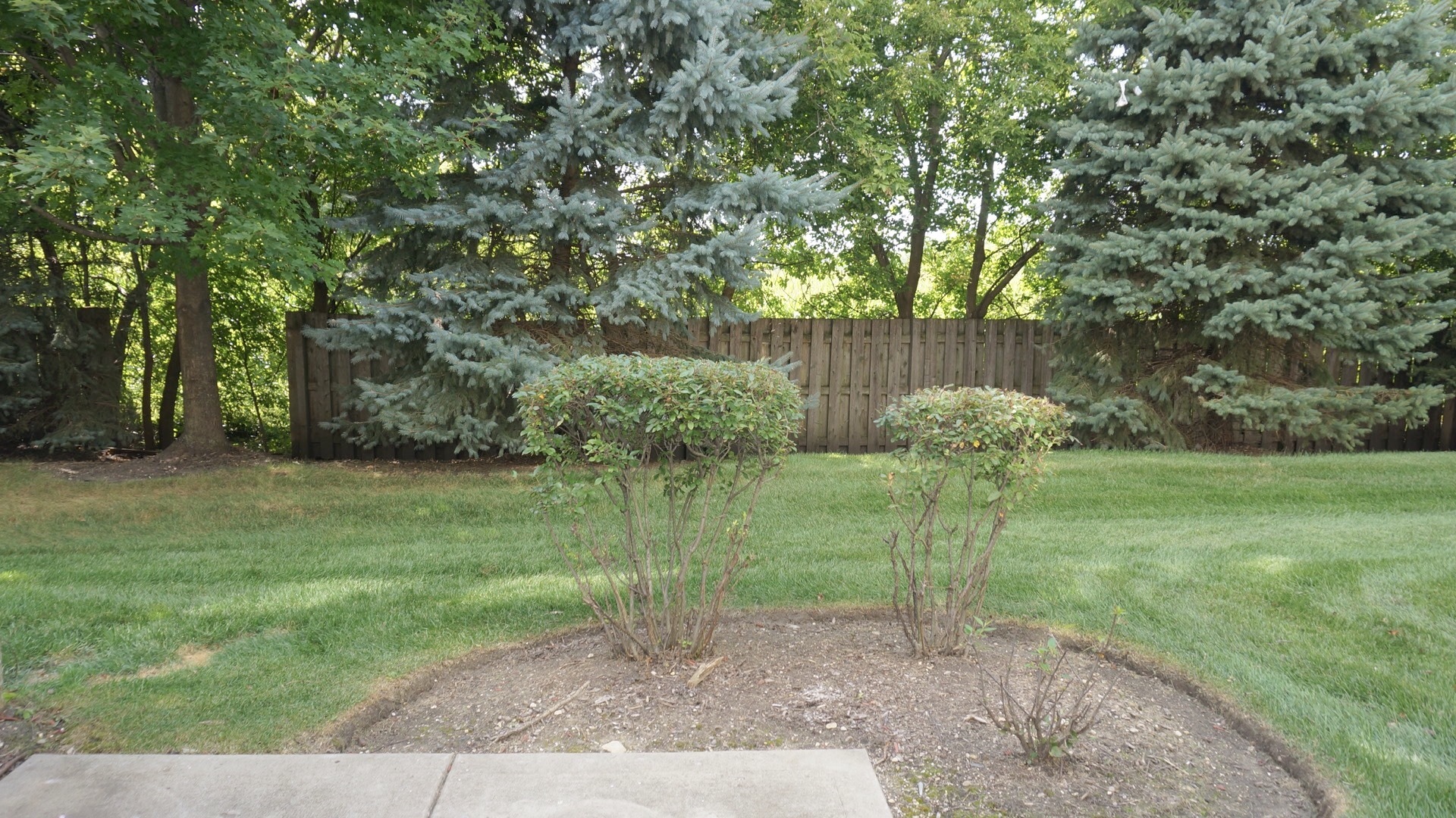 9575 Rainsford Drive, Unit 1 Huntley, IL 60142 - Photo 4 of 26