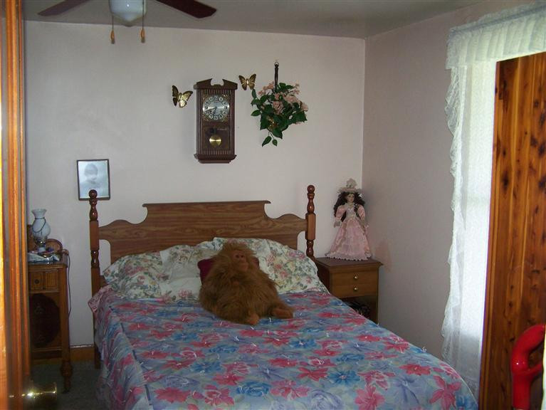 1839 Chapel Road Mount Olivet, KY 41064 - Photo 5 of 5 Photo 5