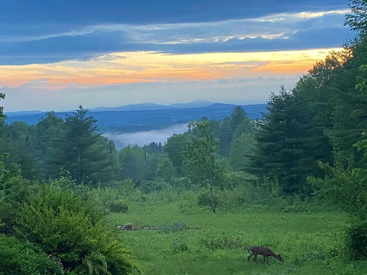 844 John Fowler Road Marshfield, VT 05667 - Photo 50 of 52