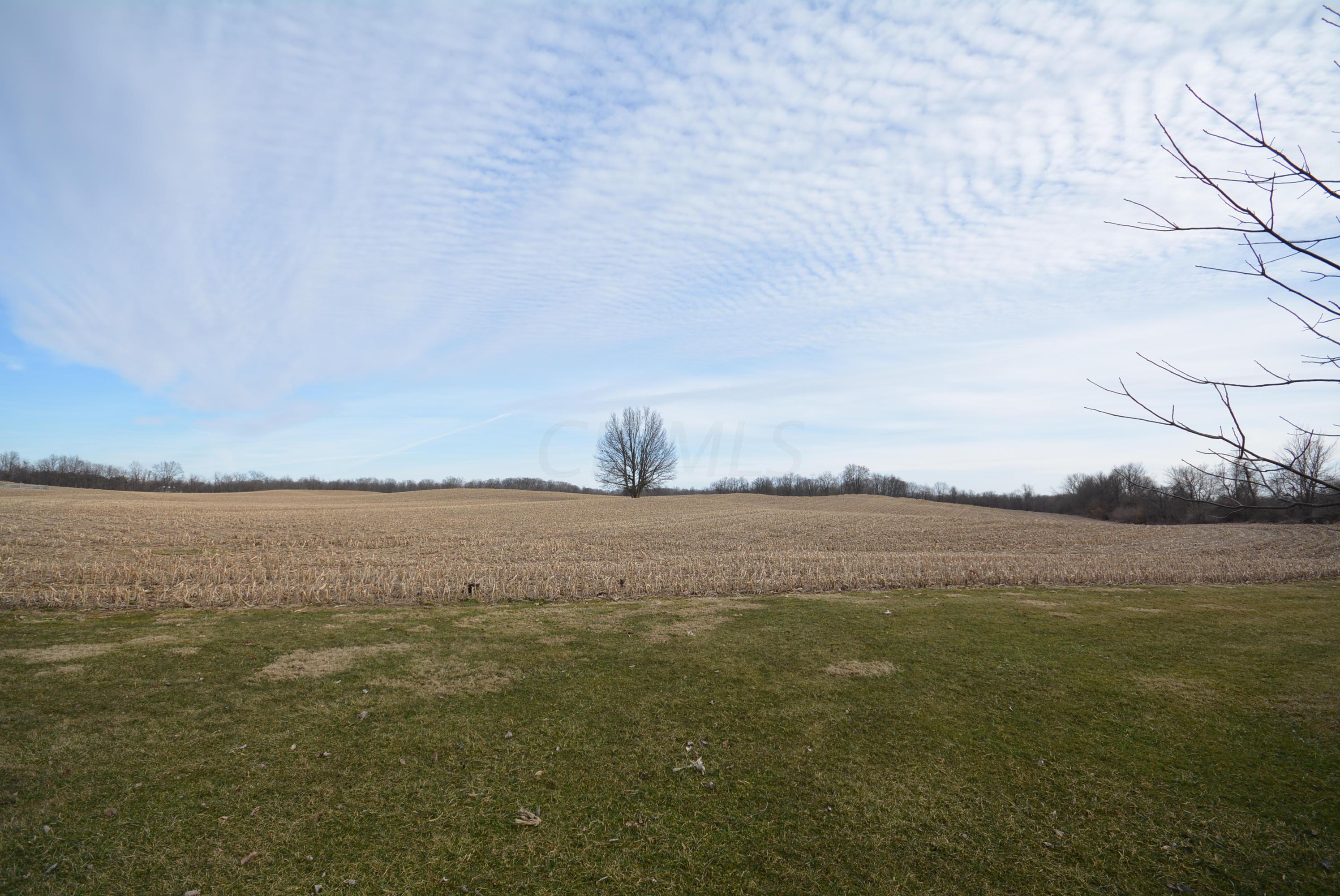 11367 Morse Road Southwest Pataskala, OH 43062 - Photo 10 of 34