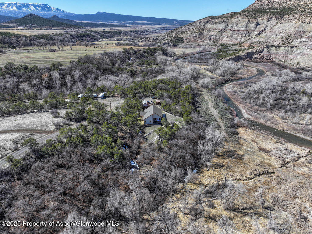 53404 Highway 330 Collbran, CO 81624 - Photo 37 of 43 a view of a dry field covered with trees