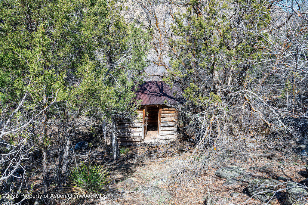 53404 Highway 330 Collbran, CO 81624 - Photo 41 of 43 a picture of trees