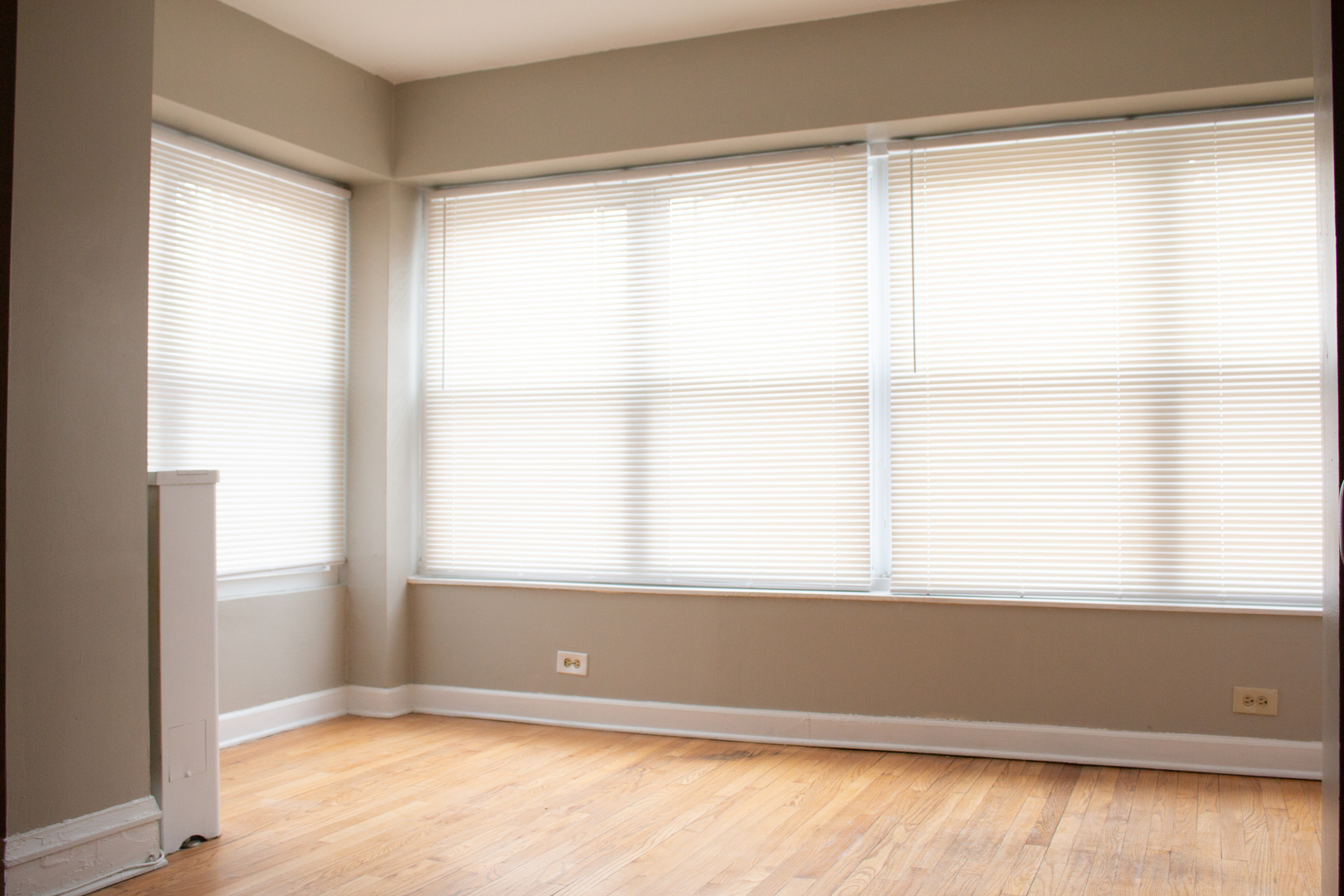 7027 North Ridge Boulevard, Unit 1 Chicago, IL 60645 - Photo 8 of 25