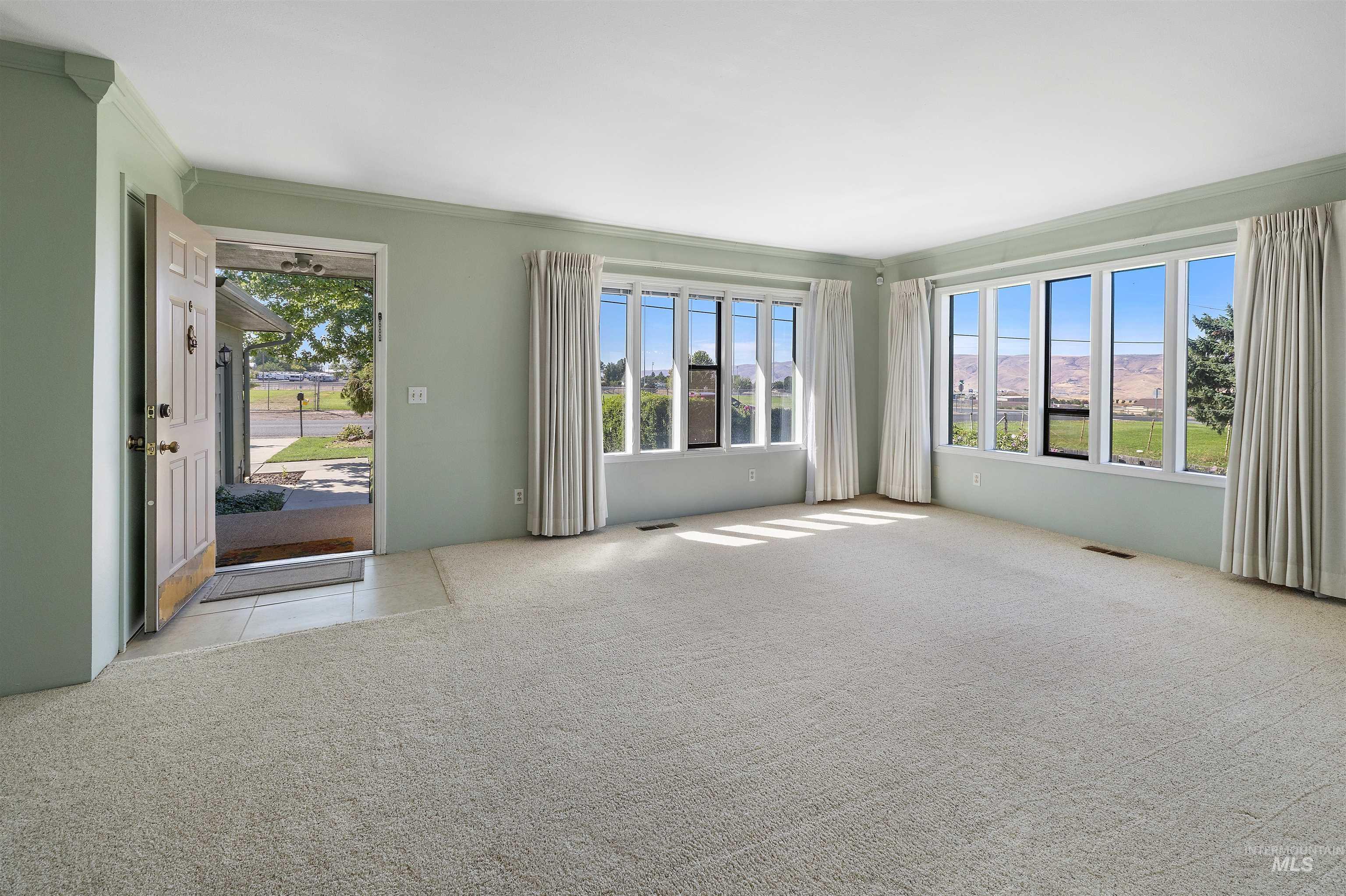 Carpeted spare room with crown molding and plenty of natural light