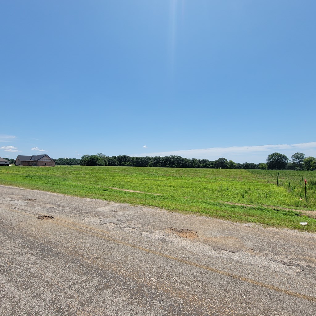 Lot 11 County Road 9 Newton, AL 36352 - Photo 9 of 12