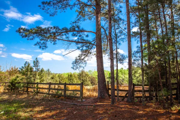$315,000 | Lot 3 Smith Crawford Road, Thomson, GA 30824
