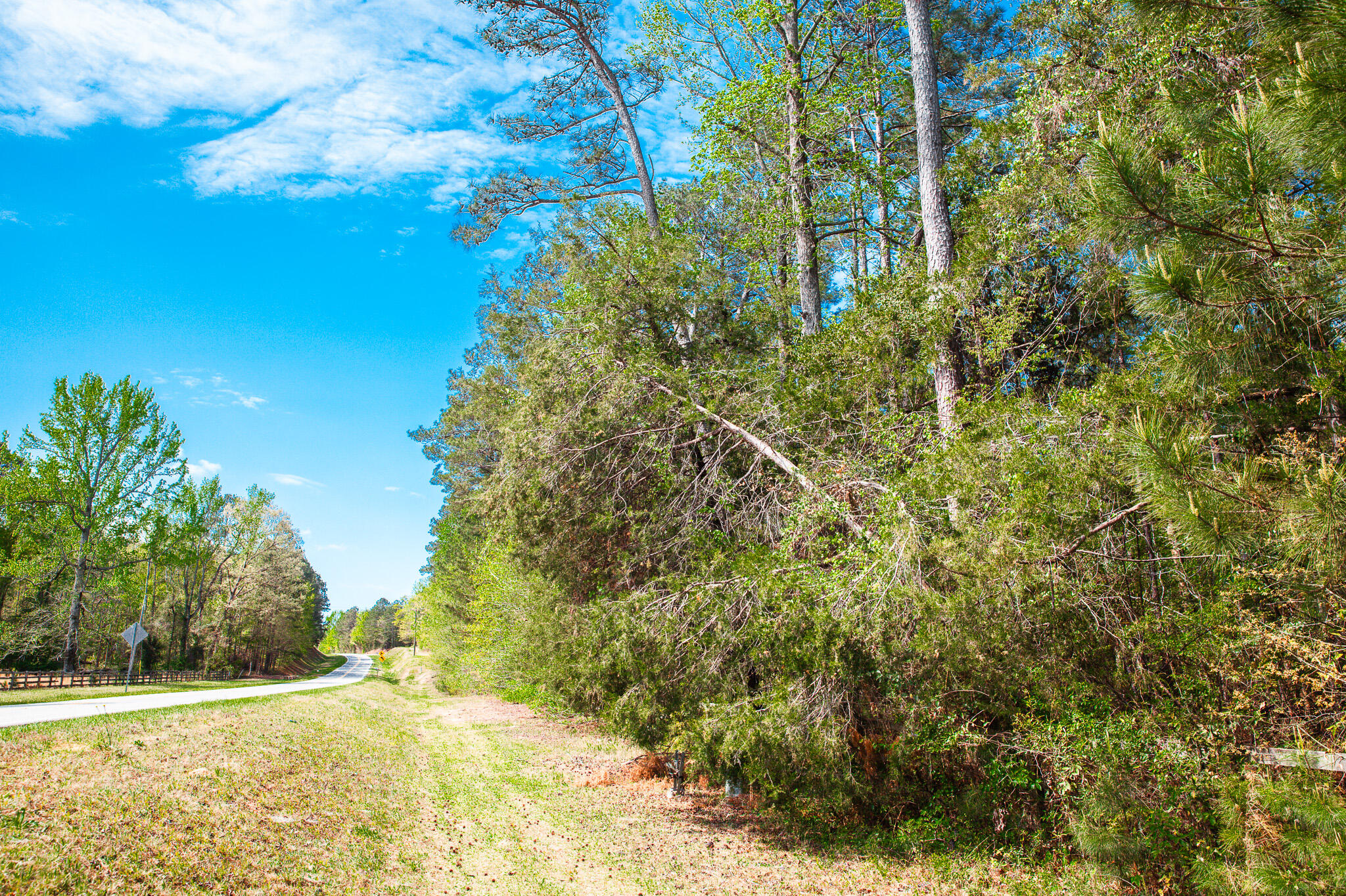 Lot 3 Smith Crawford Road Thomson, GA 30824 - Photo 11 of 19 IMG_5181