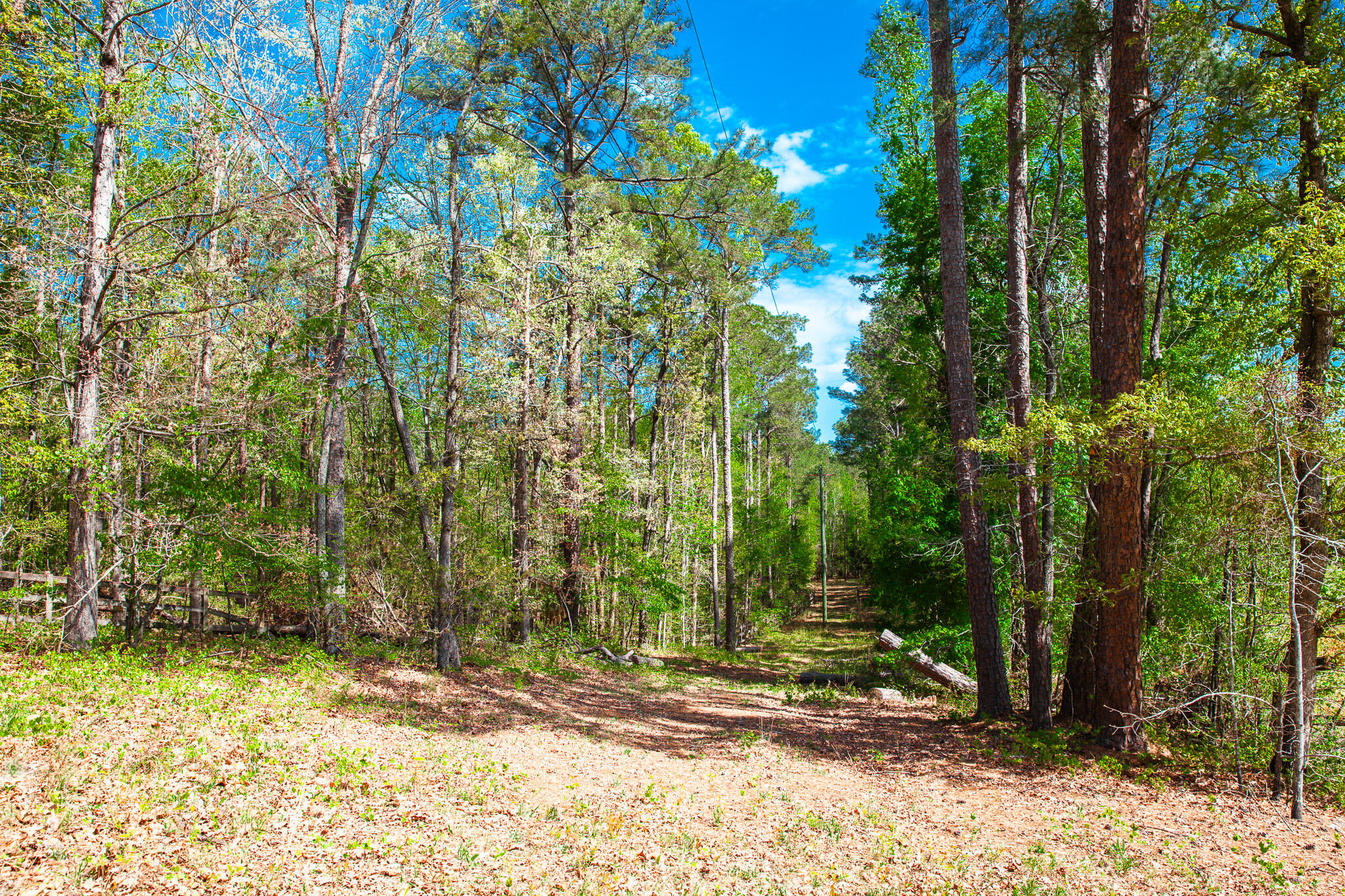Lot 3 Smith Crawford Road Thomson, GA 30824 - Photo 12 of 19 IMG_5182
