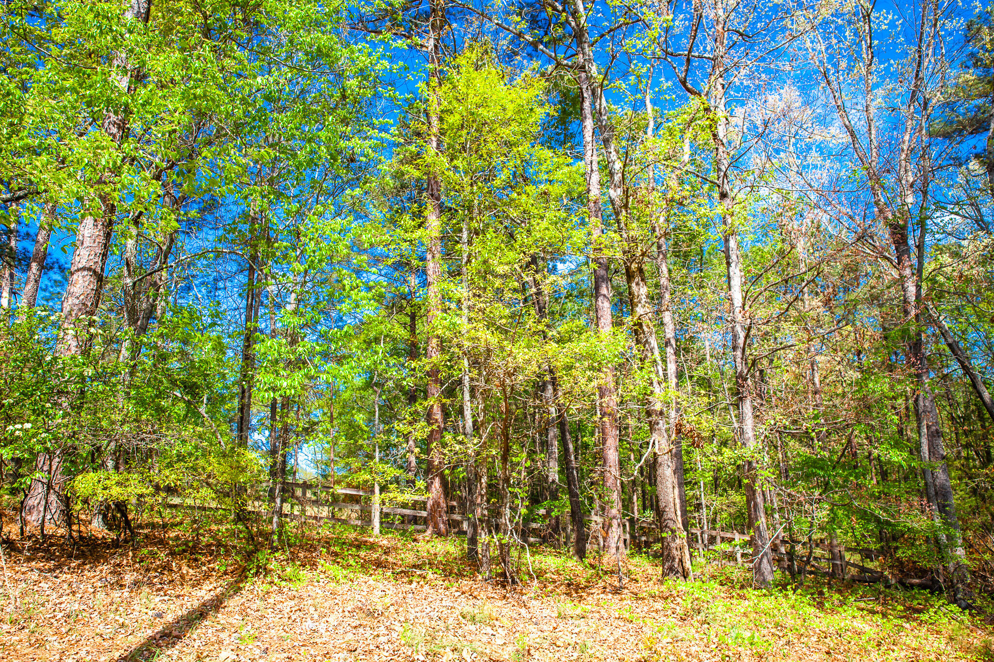 Lot 3 Smith Crawford Road Thomson, GA 30824 - Photo 13 of 19 IMG_5183