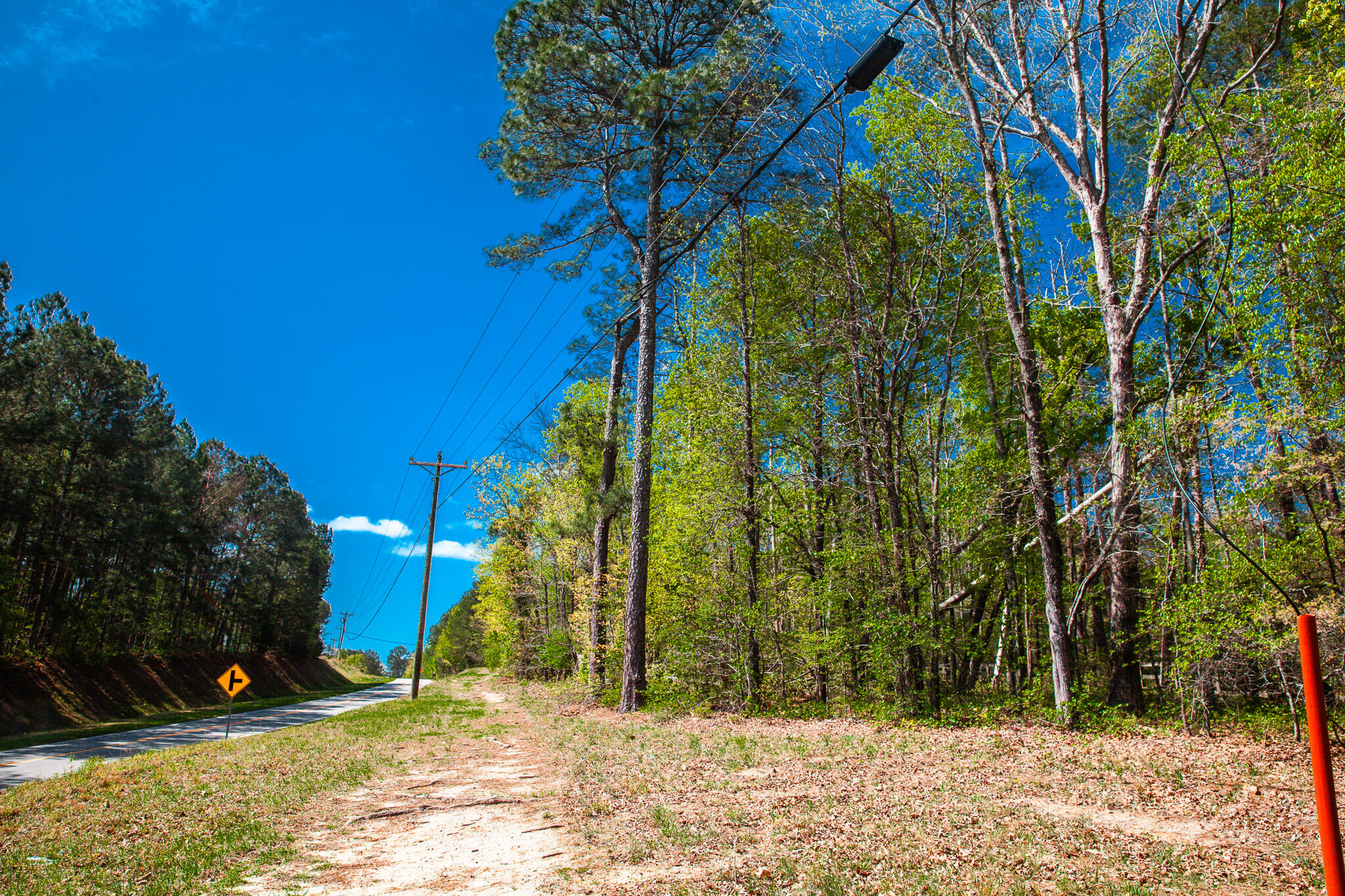 Lot 3 Smith Crawford Road Thomson, GA 30824 - Photo 14 of 19 IMG_5184