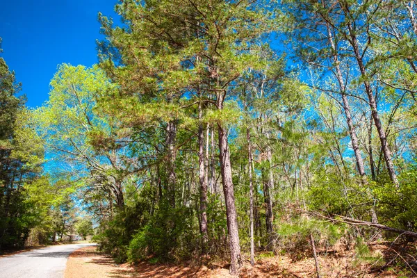 $315,000 | Lot 3 Smith Crawford Road, Thomson, GA 30824