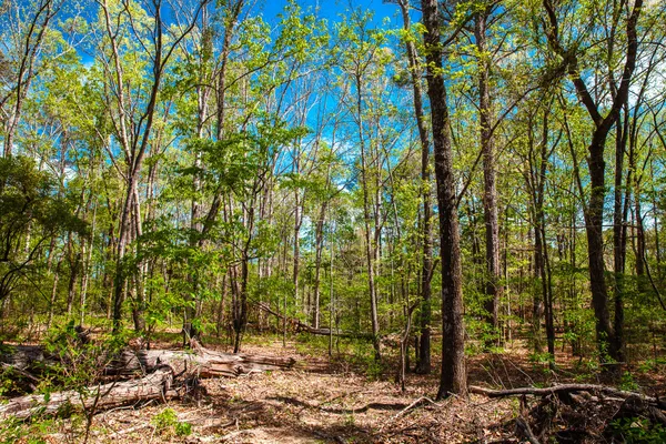 $315,000 | Lot 3 Smith Crawford Road, Thomson, GA 30824