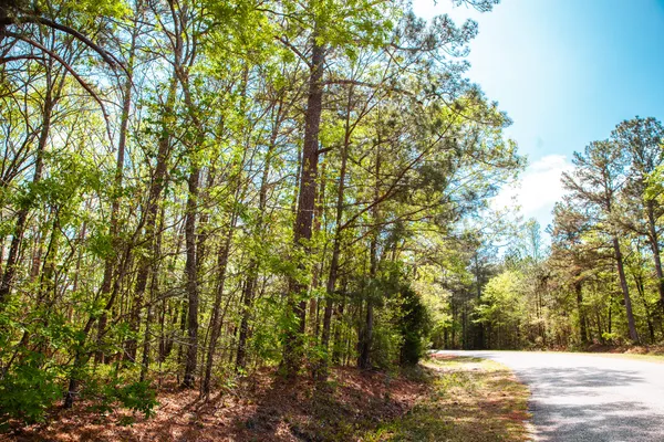 $315,000 | Lot 3 Smith Crawford Road, Thomson, GA 30824