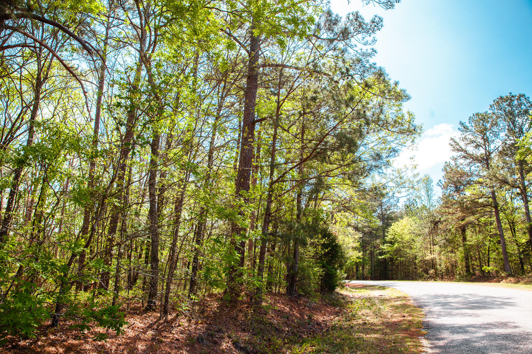 Lot 3 Smith Crawford Road Thomson, GA 30824 - Photo 18 of 19 IMG_5188