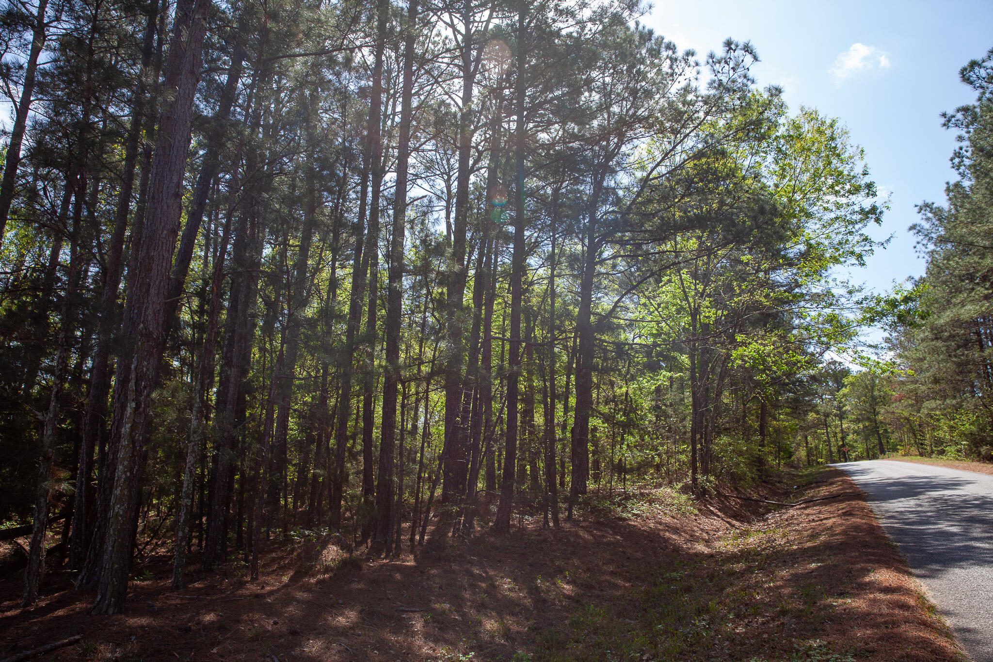 Lot 3 Smith Crawford Road Thomson, GA 30824 - Photo 19 of 19 IMG_5195