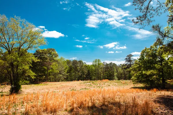 $315,000 | Lot 3 Smith Crawford Road, Thomson, GA 30824
