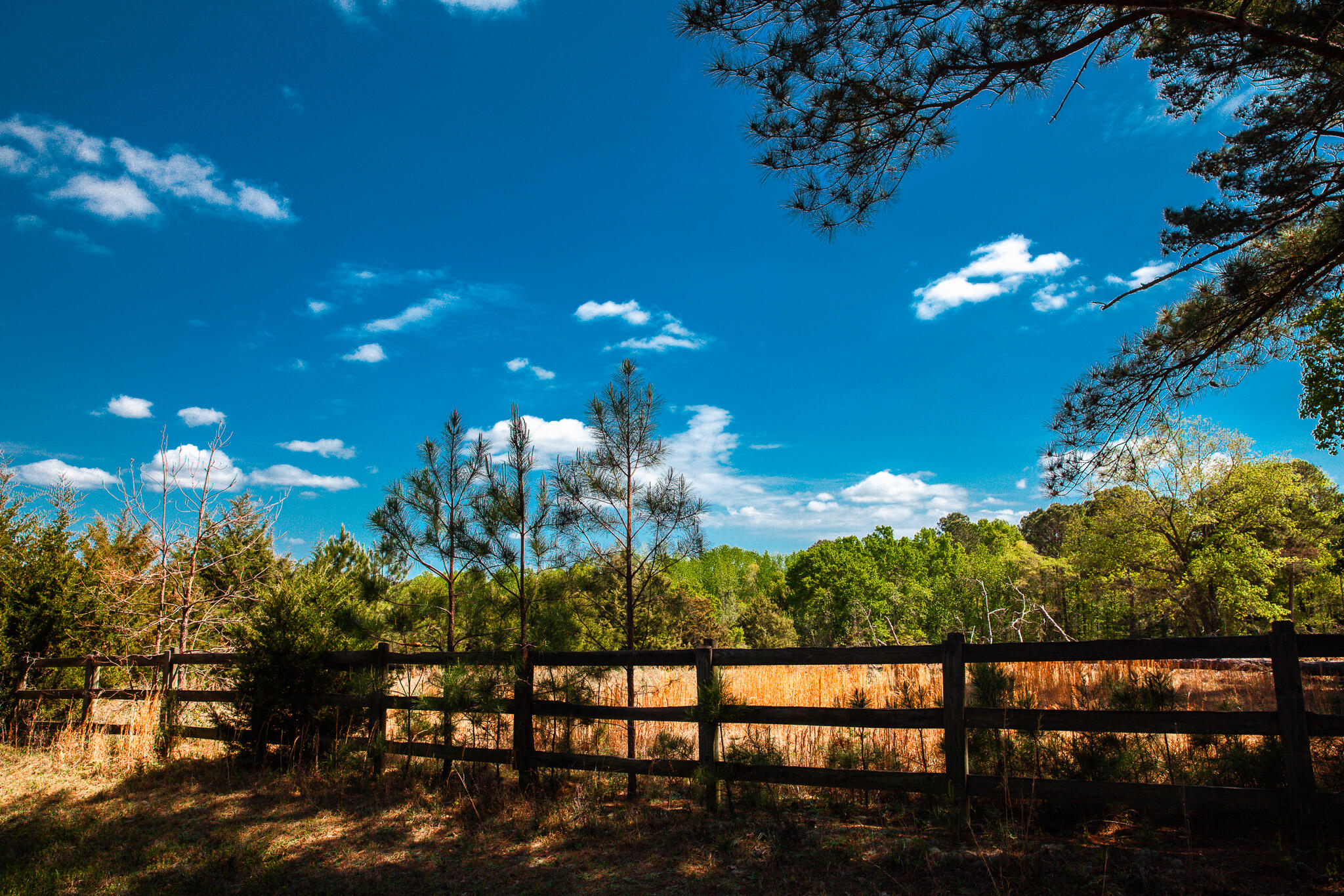 Lot 3 Smith Crawford Road Thomson, GA 30824 - Photo 4 of 19 IMG_5194