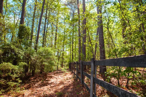 $315,000 | Lot 3 Smith Crawford Road, Thomson, GA 30824