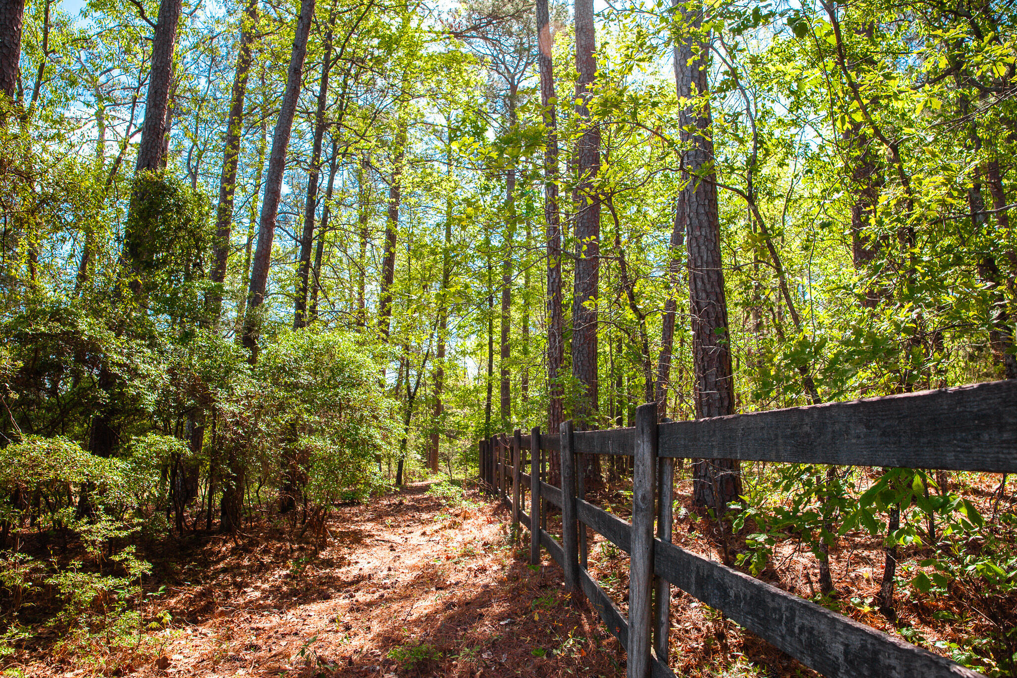 Lot 3 Smith Crawford Road Thomson, GA 30824 - Photo 5 of 19 IMG_5190