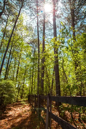 $315,000 | Lot 3 Smith Crawford Road, Thomson, GA 30824