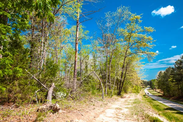 $315,000 | Lot 3 Smith Crawford Road, Thomson, GA 30824