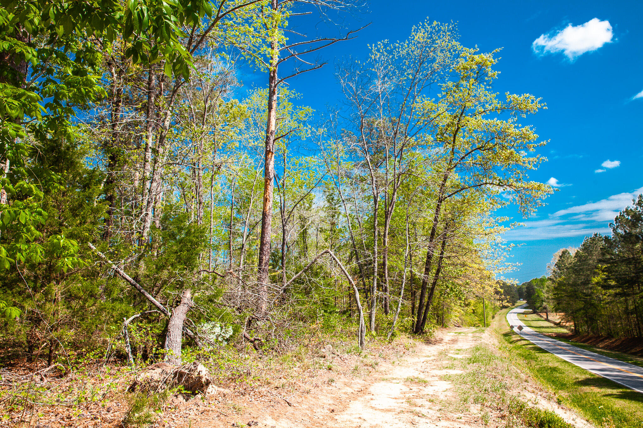 Lot 3 Smith Crawford Road Thomson, GA 30824 - Photo 7 of 19 IMG_5177