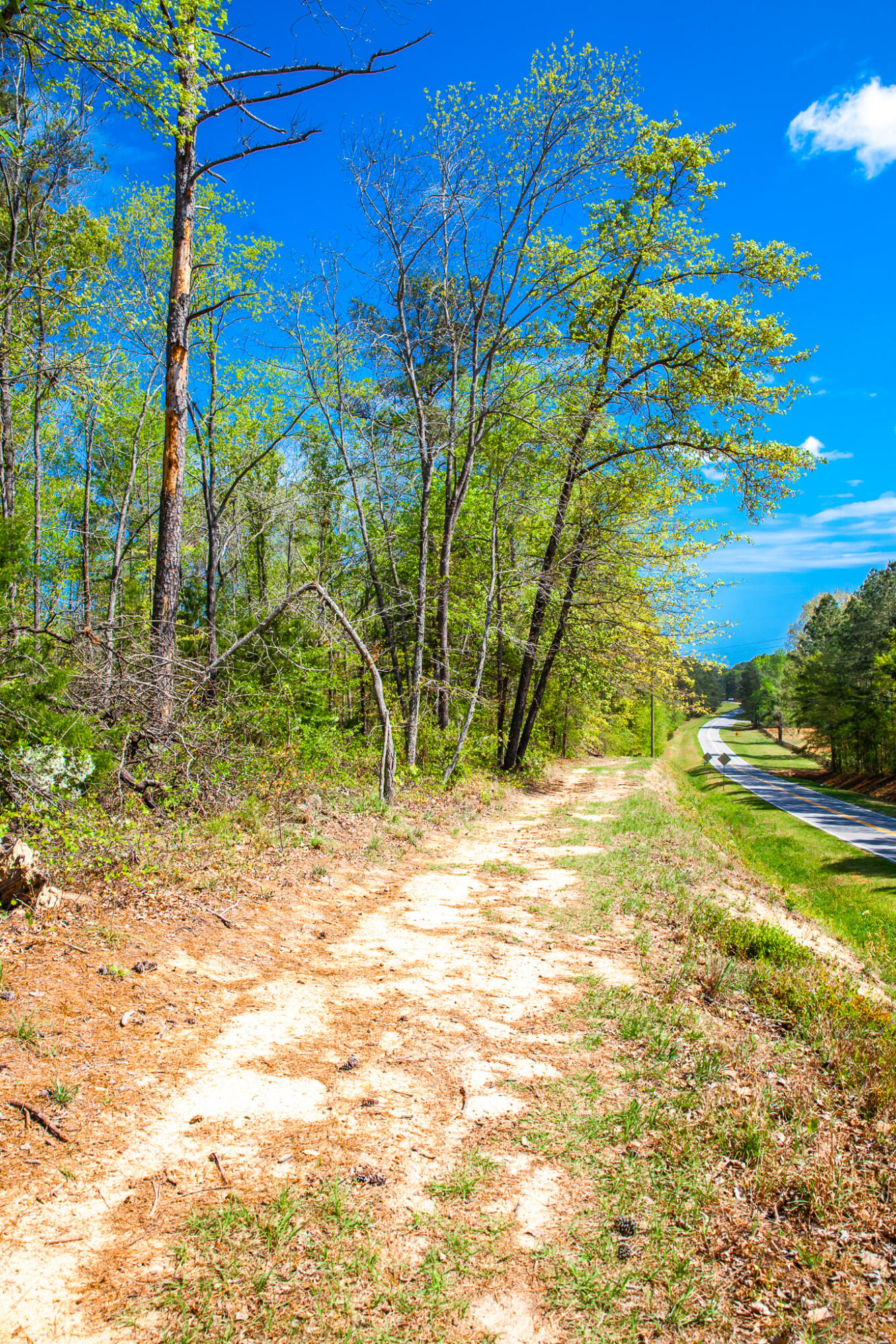 Lot 3 Smith Crawford Road Thomson, GA 30824 - Photo 8 of 19 IMG_5178